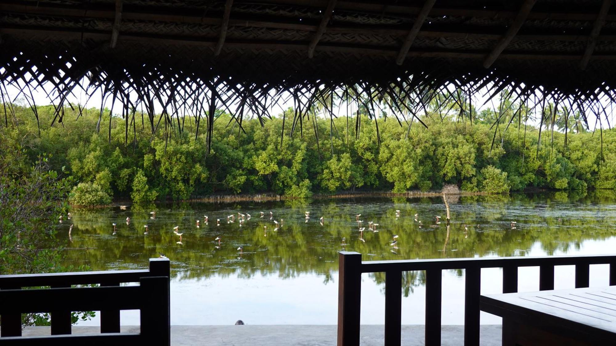 Salt Lake Cabanas & Restaurant Тангалла Экстерьер фото